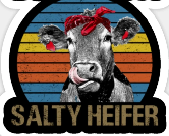 Salty Heifer (New Release)