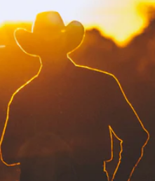 Cowboy Sunset-Discontinue when out